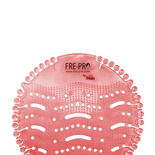 wave-2-kiwi.png