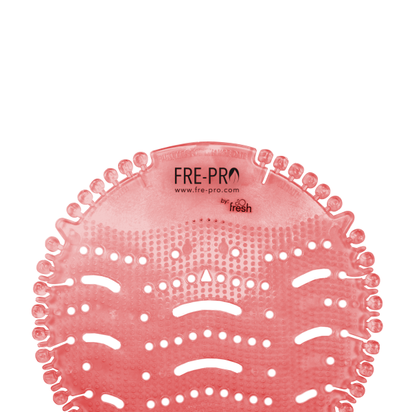 wave-2-kiwi.png