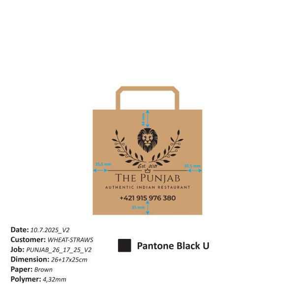 punjab261725v2-1-page-0001.jpg