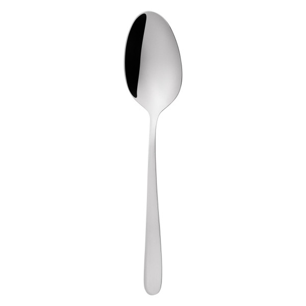 1744883338winnipeg-table-spoon-01.jpg