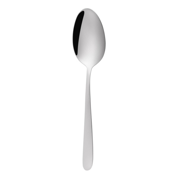 1744883394winnipeg-dessert-spoon.jpg