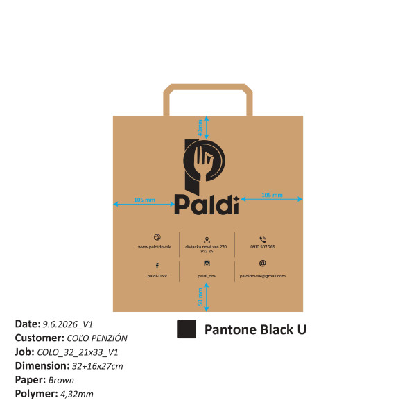 paldi3221x33v1page-0001.jpg