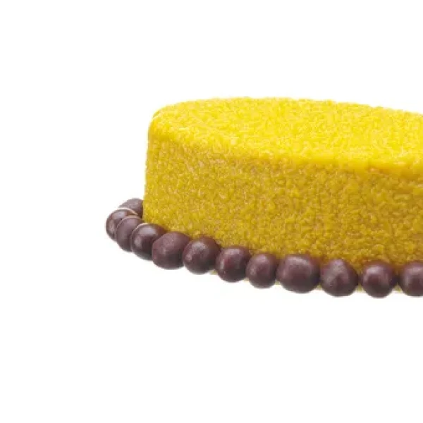 677247cast202401imgp0970.webp