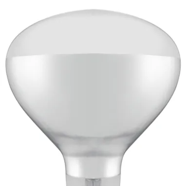 919200shatterproofbulb-white02.png