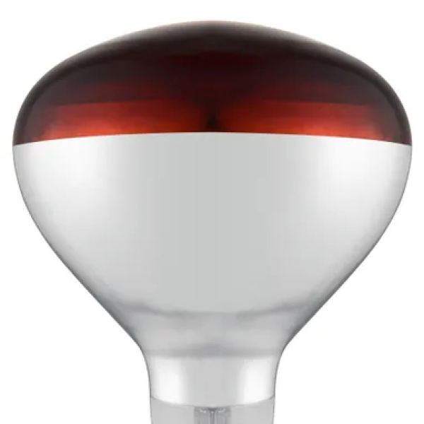 919217shatterproofbulb-red02.png